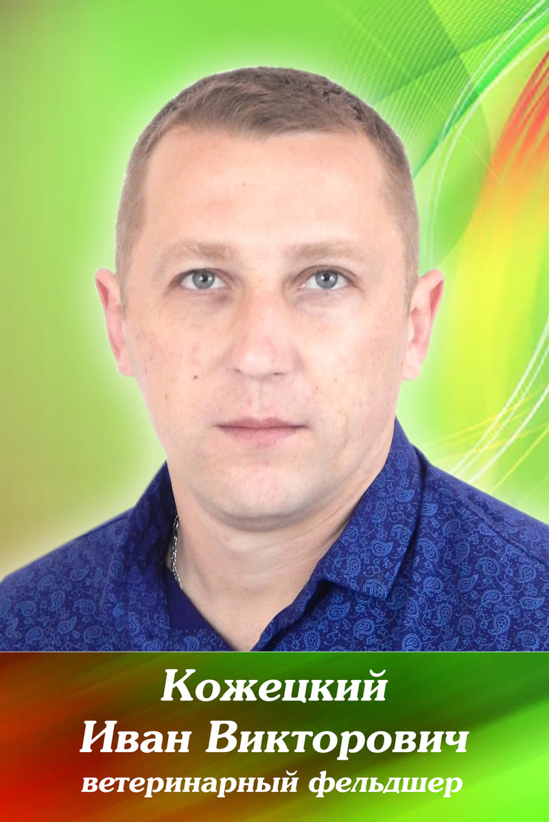 Кожецкий