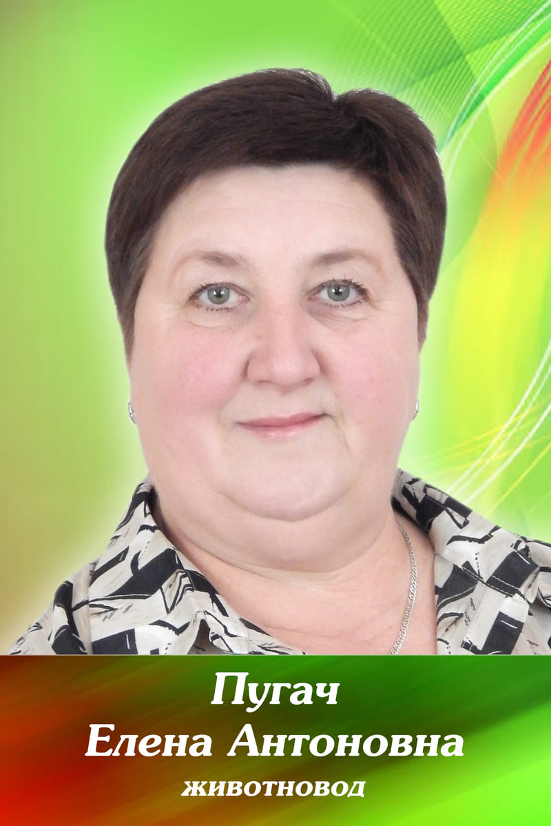 Пугач